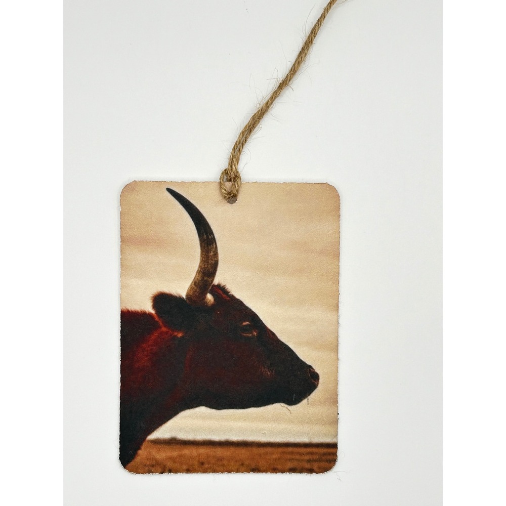 Longhorn Bull Felt Car Freshie Leather & Lace Scented Oil Air Freshener Kit